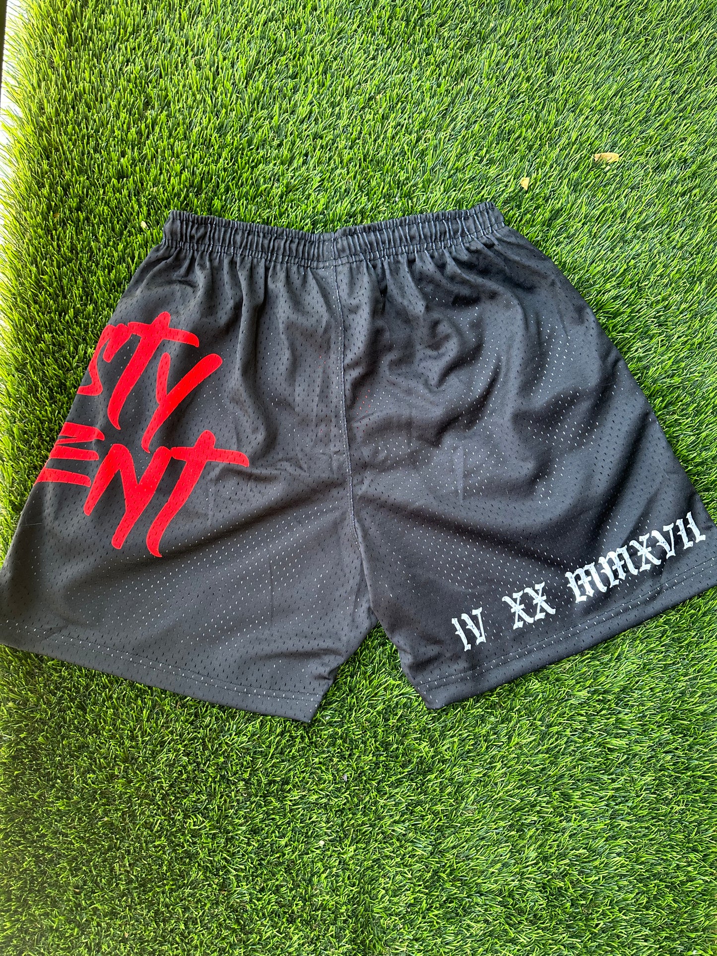 Nasty Violent Day in the Life Mesh Shorts