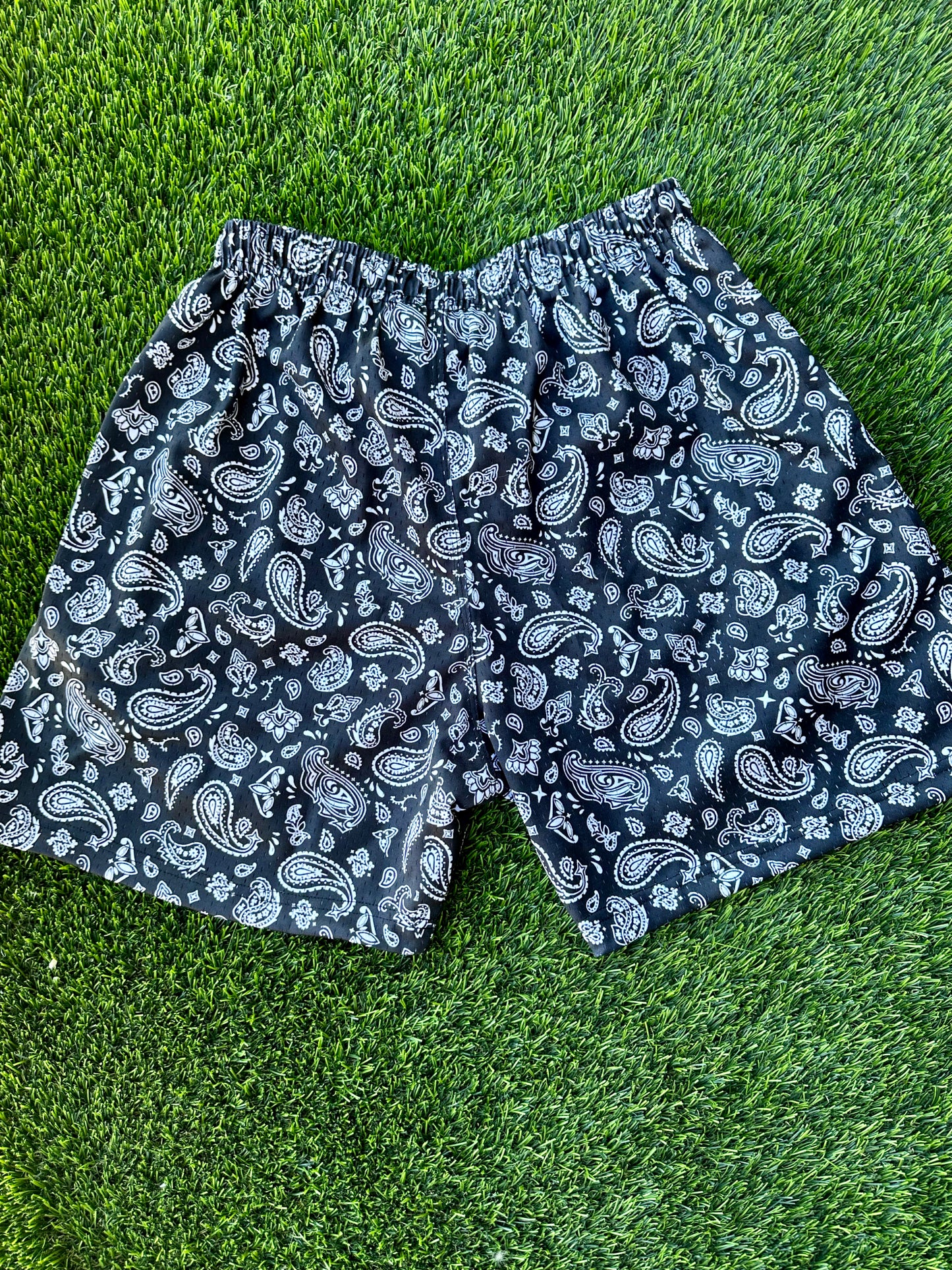 Nasty Violent Bandana Shorts