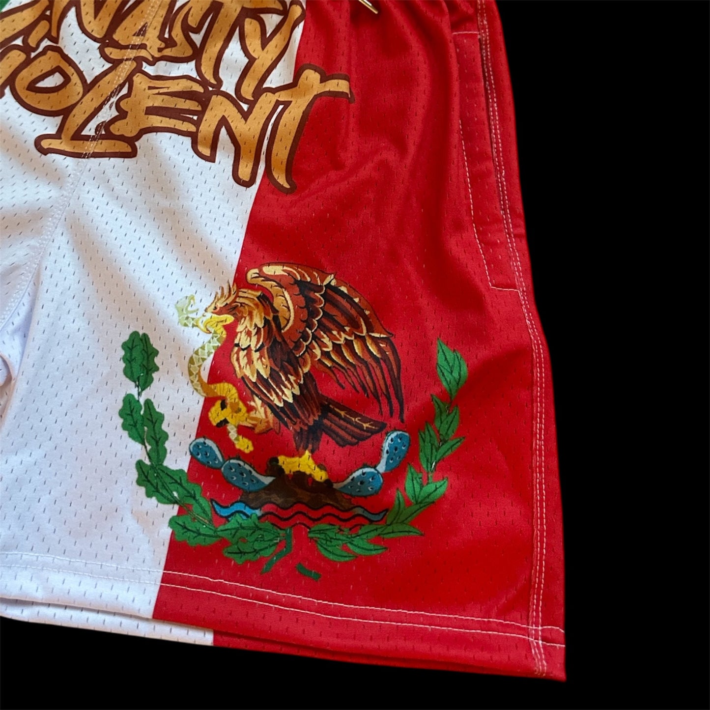 Nasty Violent Hecho en Violencia Mesh Shorts